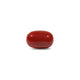 Red Coral - 7.75 Carat - Pramogh