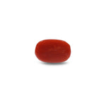 Red Coral - 7.75 Carat