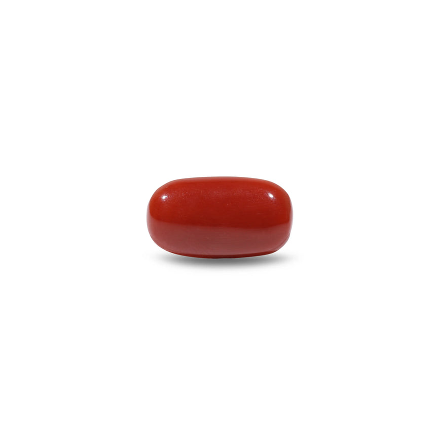 Red Coral - 10.2 Carat - Pramogh