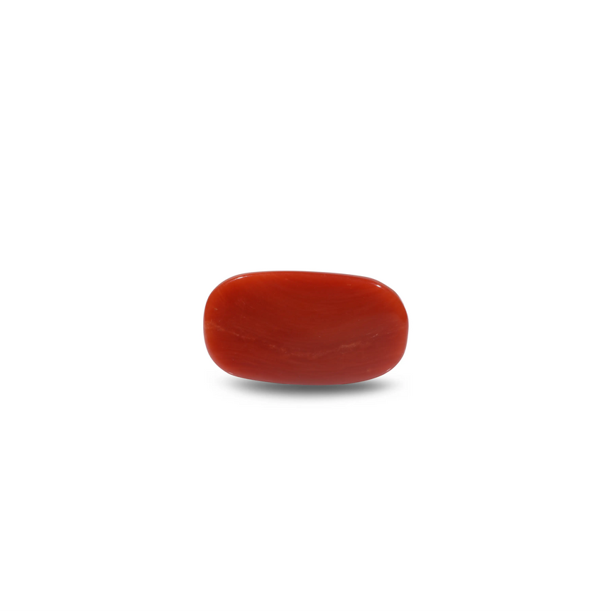 Red Coral - 10.2 Carat