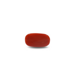 Red Coral - 10.2 Carat