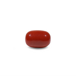 Red Coral - 19.7 Carat - Pramogh