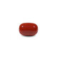 Red Coral - 19.7 Carat - Pramogh
