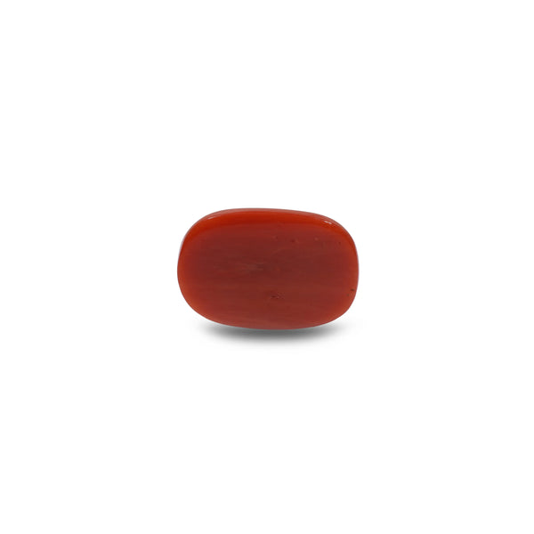 Red Coral - 19.7 Carat
