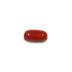 Red Coral - 19.7 Carat