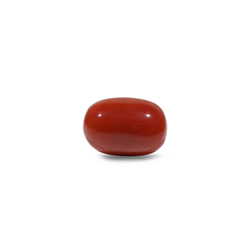 Red Coral - 7.55 Carat - Pramogh