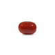 Red Coral - 7.55 Carat - Pramogh