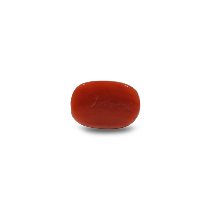 Red Coral - 7.55 Carat