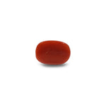 Red Coral - 7.55 Carat