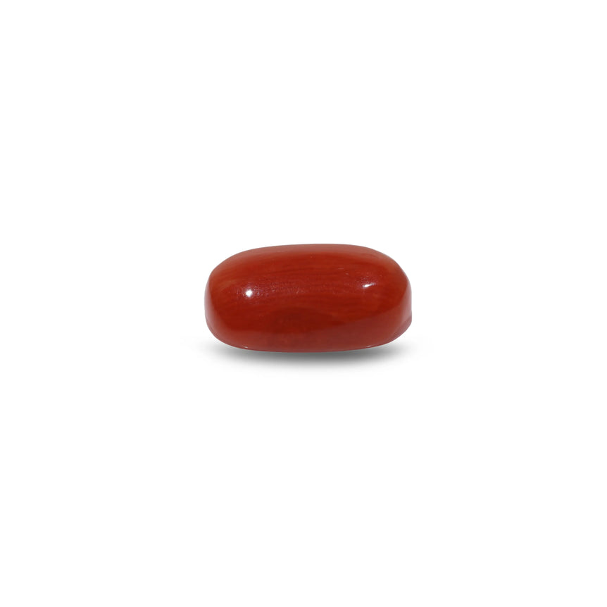 Red Coral - 7.55 Carat