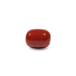 Red Coral - 14.15 Carat - Pramogh