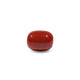 Red Coral - 14.15 Carat - Pramogh