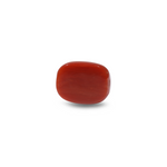 Red Coral - 14.15 Carat
