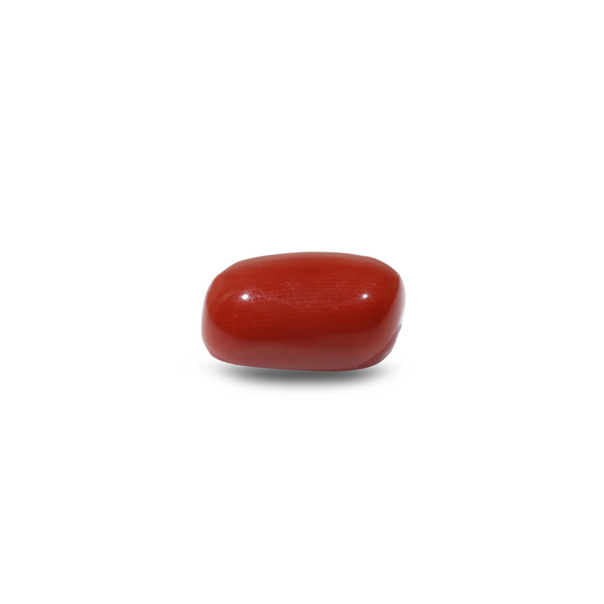 Red Coral - 14.15 Carat
