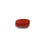 Red Coral - 14.15 Carat