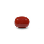 Red Coral - 9.9 Carat - Pramogh