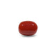 Red Coral - 9.9 Carat - Pramogh