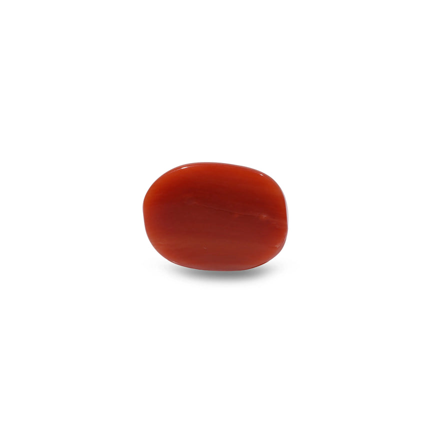 Red Coral - 9.9 Carat
