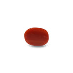Red Coral - 9.9 Carat