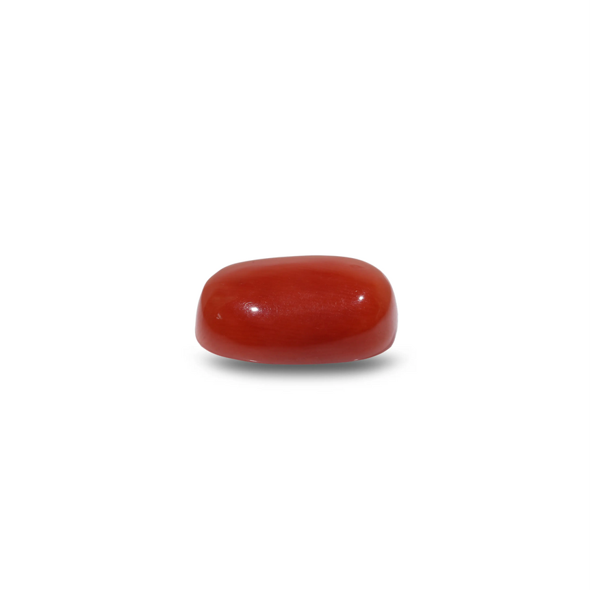 Red Coral - 9.9 Carat