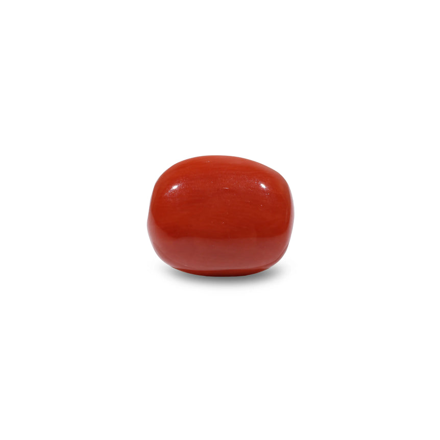 Red Coral - 10.15 Carat - Pramogh