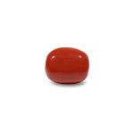 Red Coral - 10.15 Carat - Pramogh