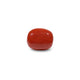 Red Coral - 10.15 Carat - Pramogh