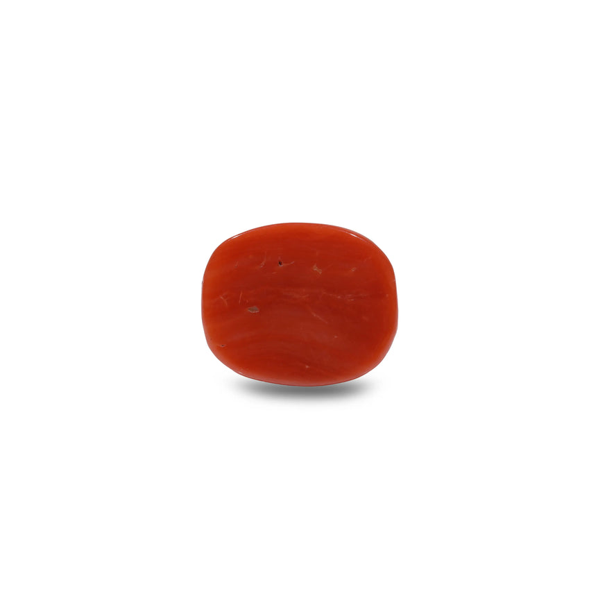 Red Coral - 10.15 Carat