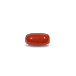 Red Coral - 10.15 Carat