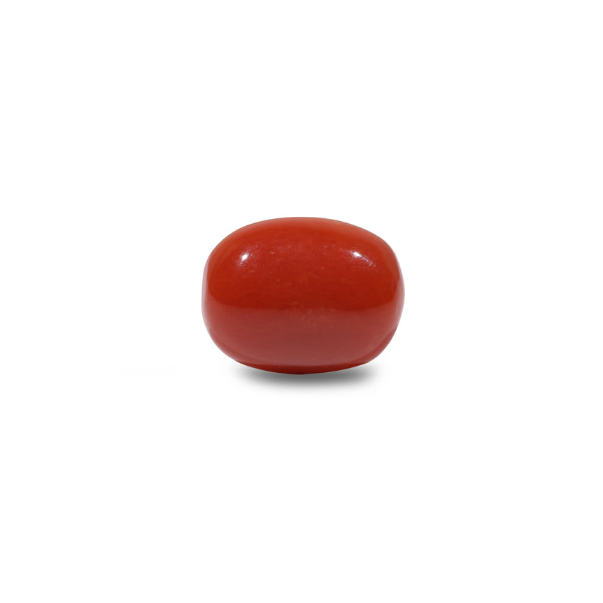 Red Coral - 8.1 Carat - Pramogh