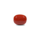 Red Coral - 8.1 Carat - Pramogh