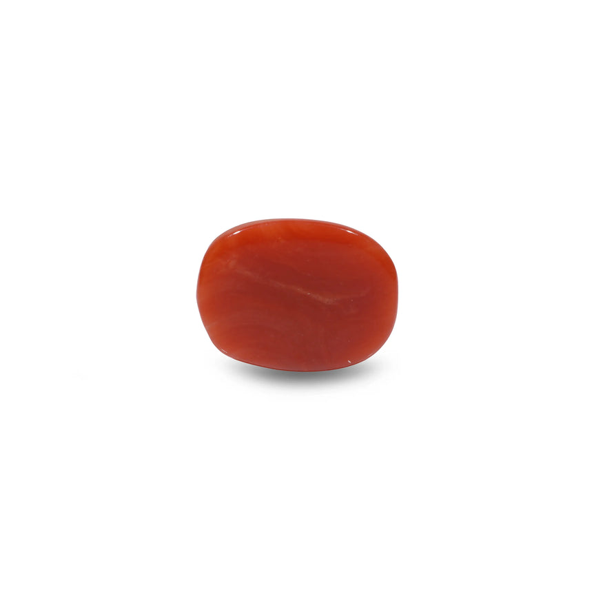 Red Coral - 8.1 Carat