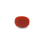 Red Coral - 8.1 Carat