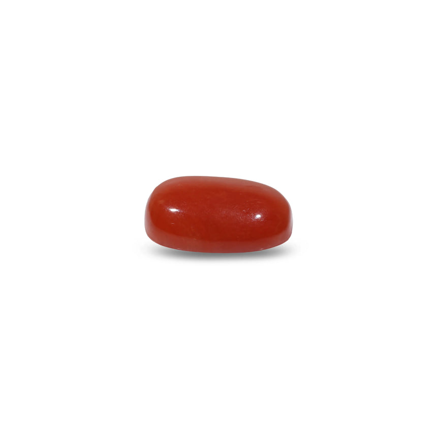 Red Coral - 8.1 Carat