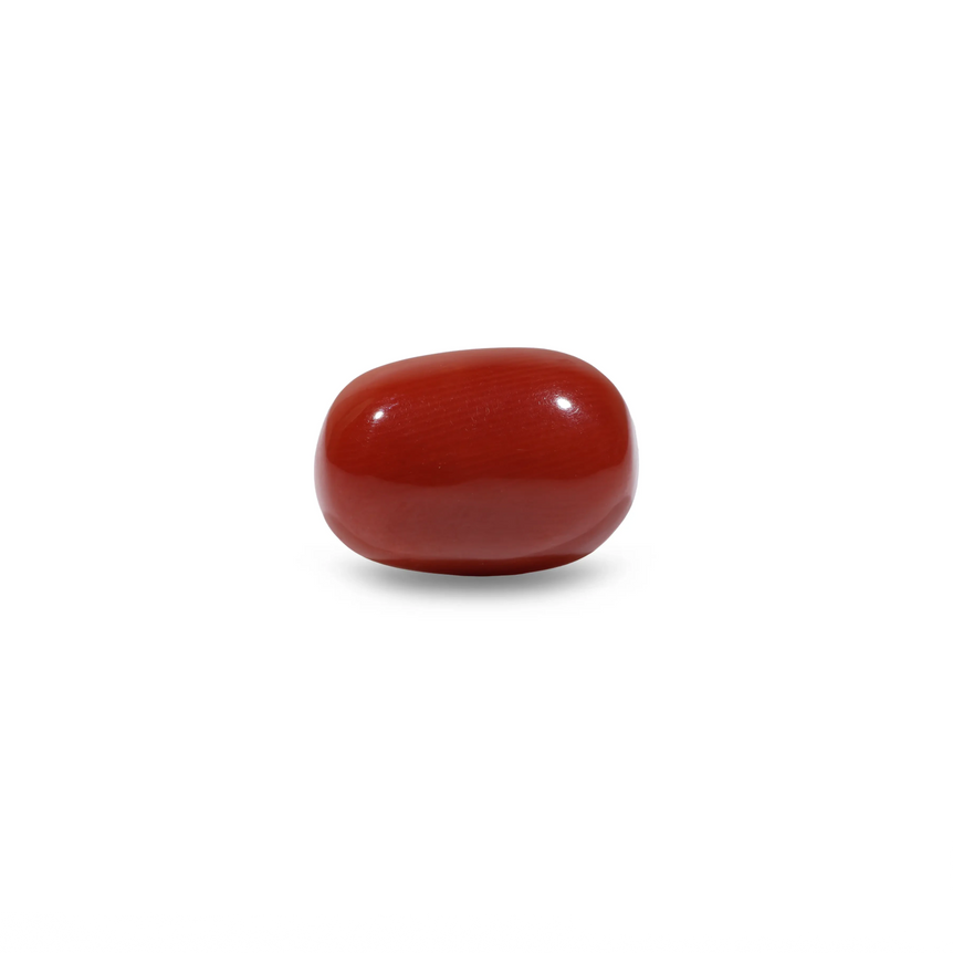 Red Coral - 9.1 Carat - Pramogh