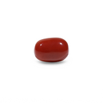 Red Coral - 9.1 Carat - Pramogh