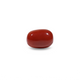 Red Coral - 9.1 Carat - Pramogh