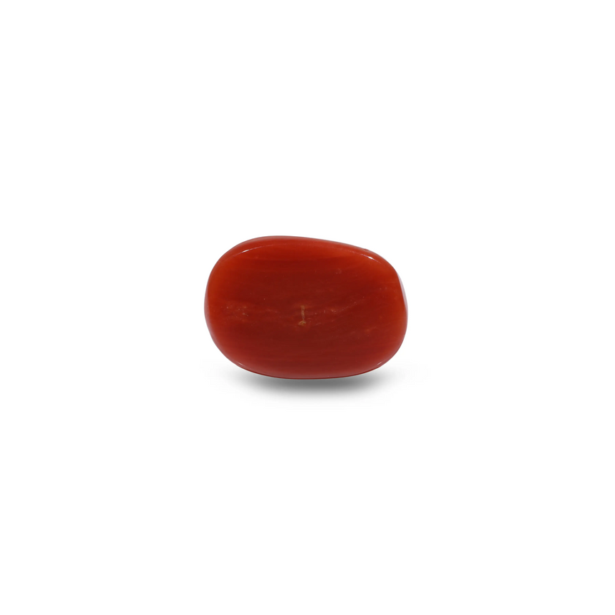 Red Coral - 9.1 Carat