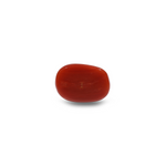 Red Coral - 9.1 Carat