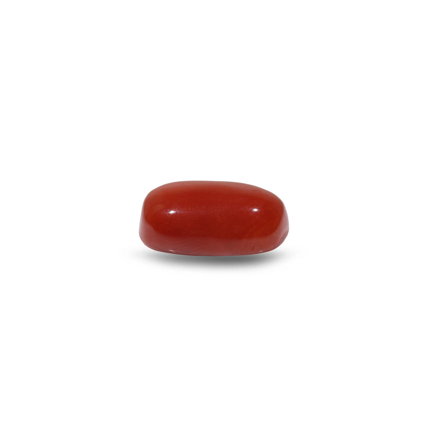 Red Coral - 9.1 Carat