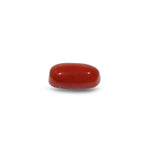 Red Coral - 9.1 Carat