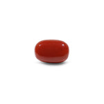 Red Coral - 10.55 Carat - Pramogh