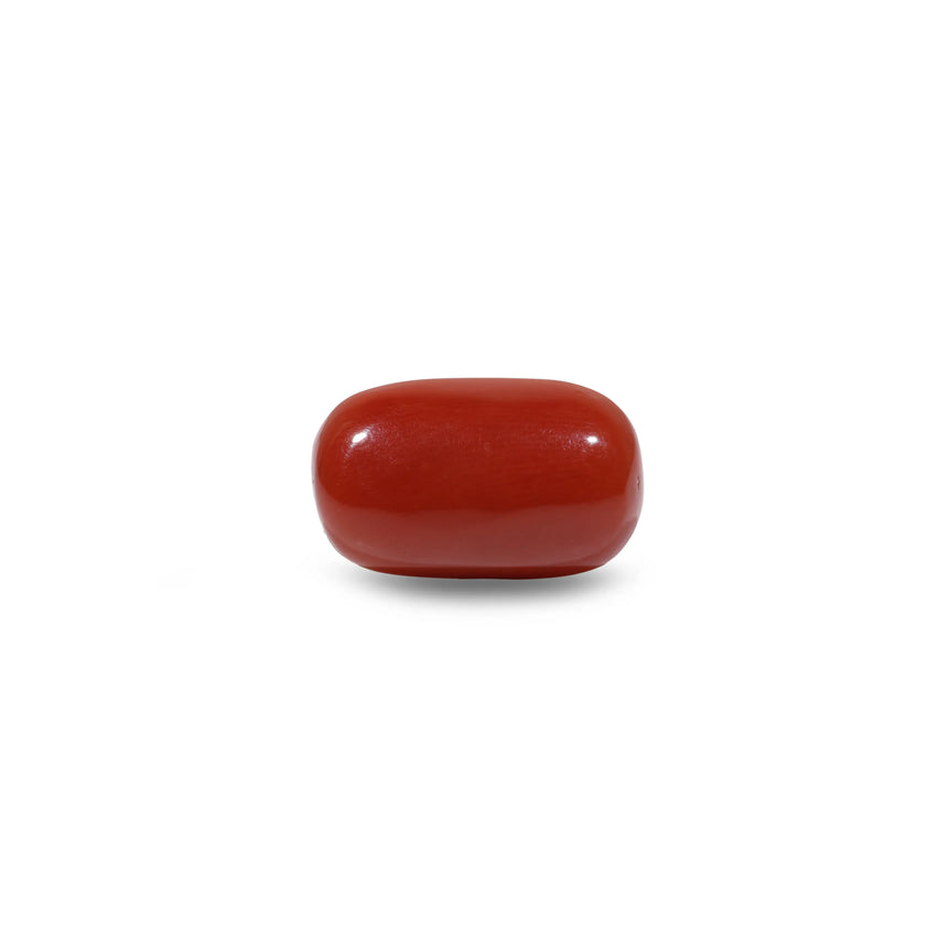 Red Coral - 8.55 Carat - Pramogh