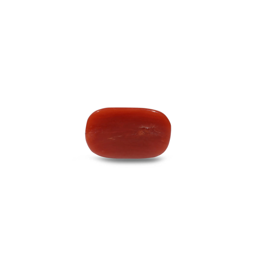 Red Coral - 8.55 Carat
