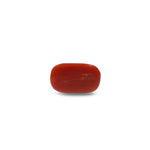 Red Coral - 8.55 Carat