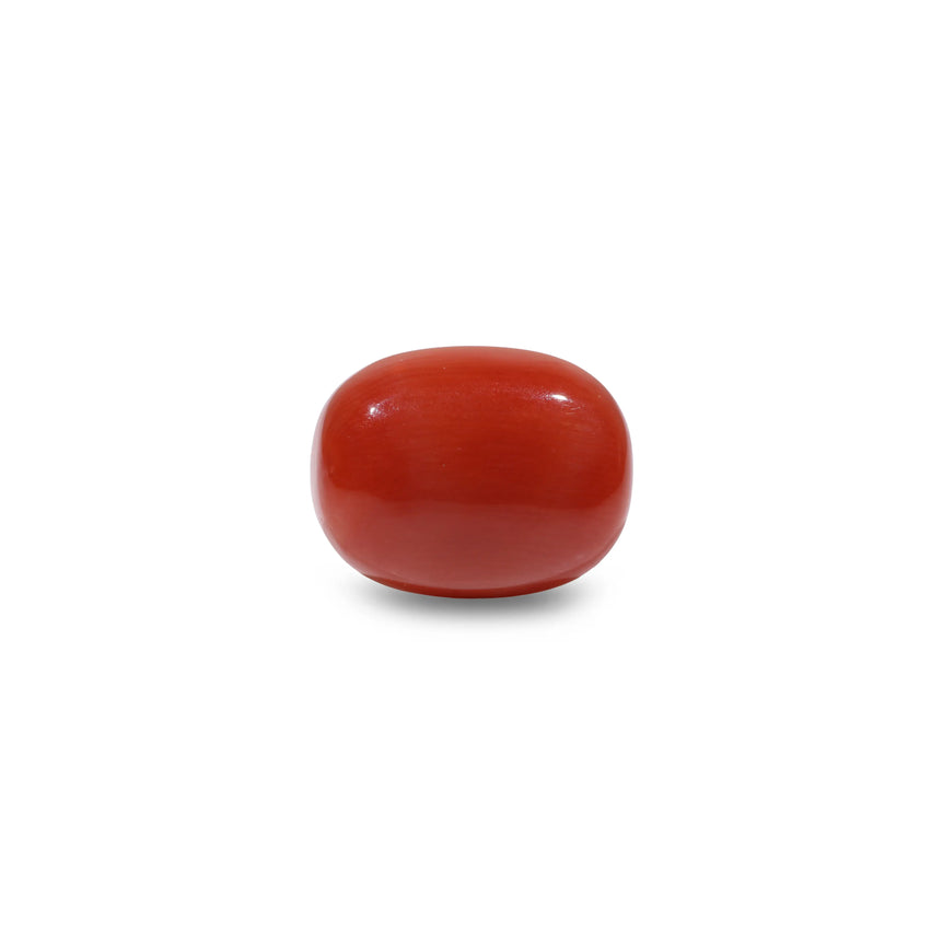 Red Coral - 8.25 Carat - Pramogh