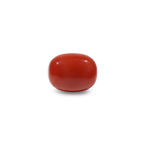 Red Coral - 8.25 Carat - Pramogh