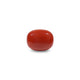 Red Coral - 8.25 Carat - Pramogh