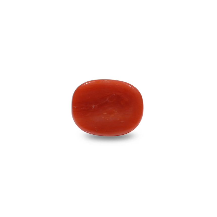 Red Coral - 8.25 Carat