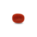 Red Coral - 8.25 Carat